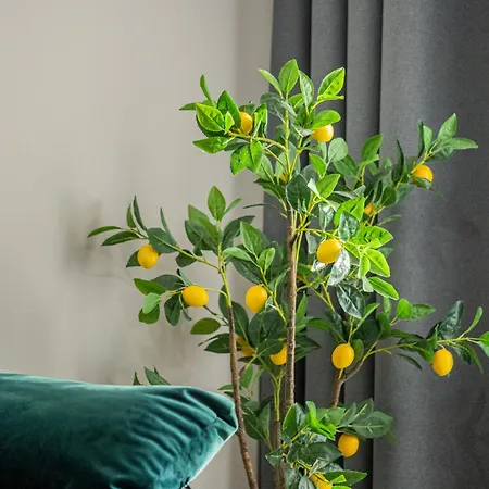 Cozy Cityscape - Near Coresi Mall #brasov *