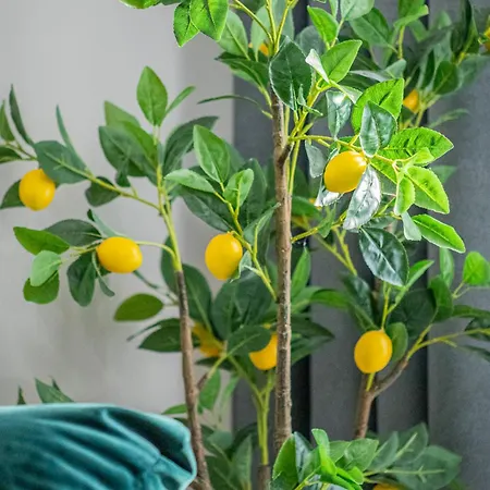 Cozy Cityscape - Near Coresi Mall #brasov Lägenhet *