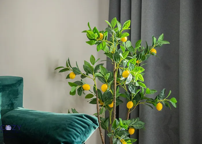 Cozy Cityscape - Near Coresi Mall #brasov *