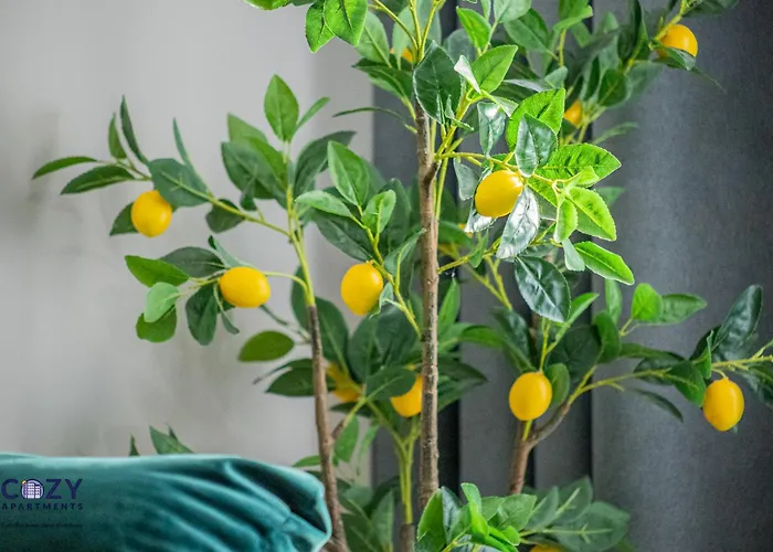 Cozy Cityscape - Near Coresi Mall #brasov Апартаменты *