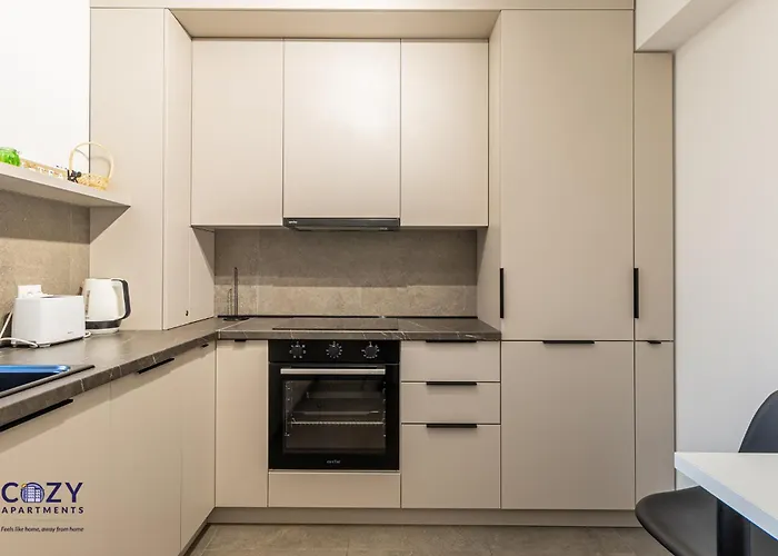 Cozy Cityscape - Near Coresi Mall #brasov Апартаменты